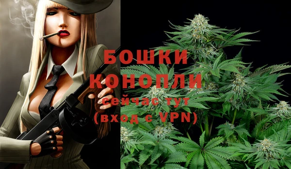 стафф Дмитриев