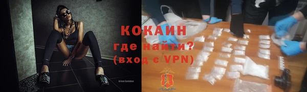 стафф Дмитриев