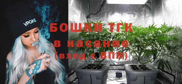 стафф Дмитриев