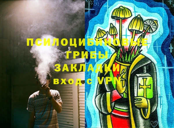 стафф Дмитриев