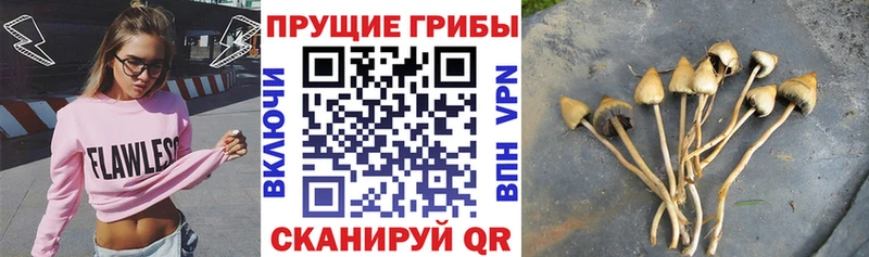 Псилоцибиновые грибы Magic Shrooms Сердобск